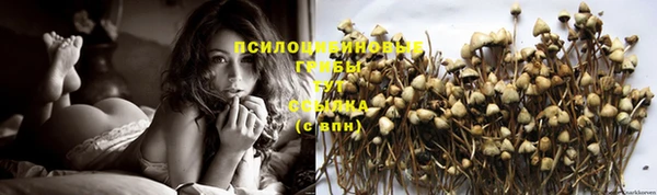 спайс Белоозёрский