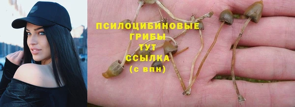 мет Белокуриха