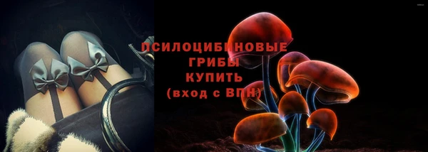 мет Белокуриха