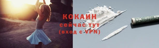 дживик Беломорск