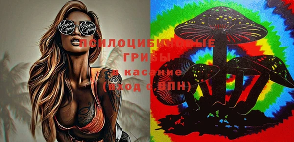мет Белокуриха